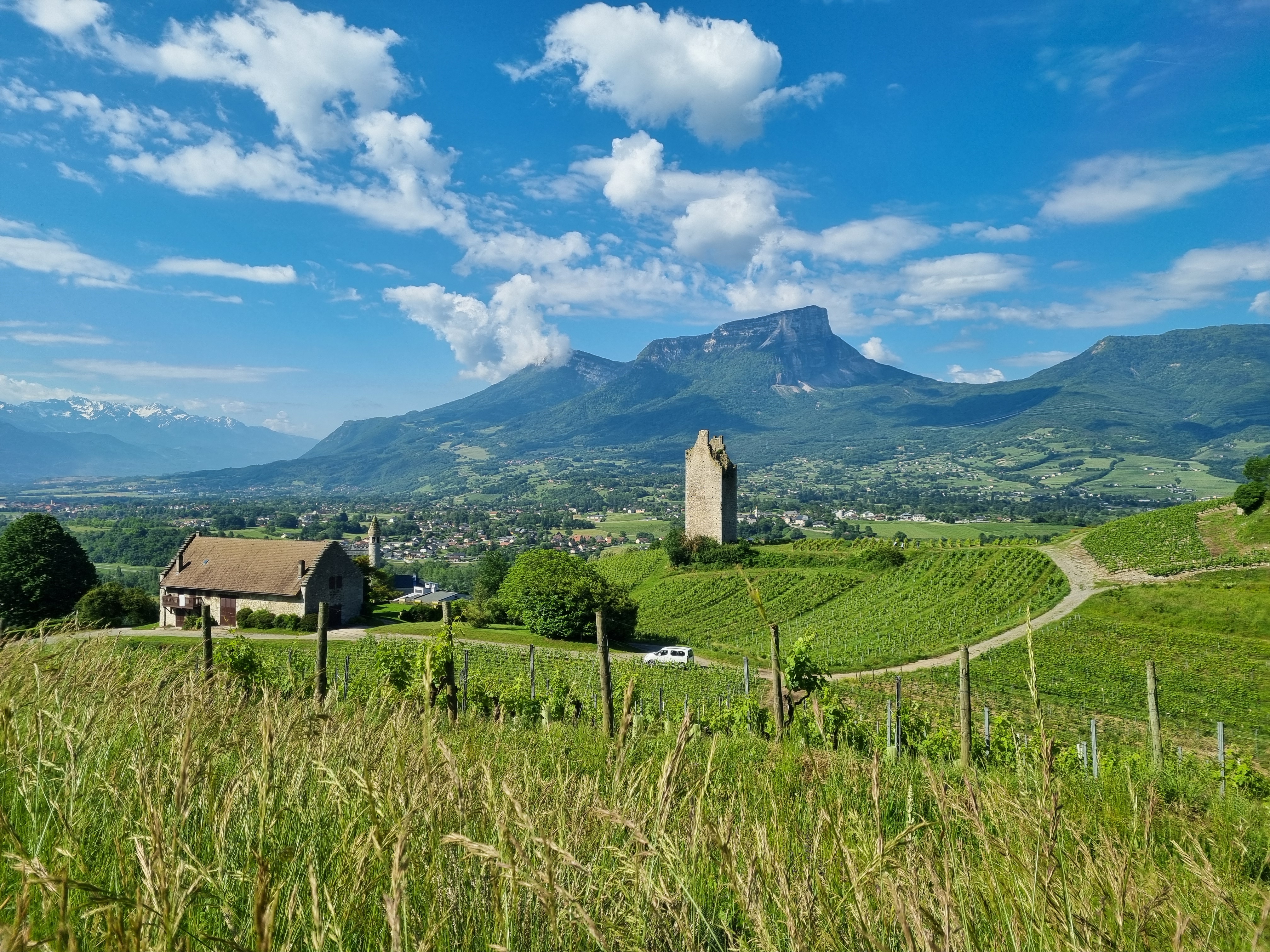 3ème journée de l’Œnotourisme en Auvergne-Rhône-Alpes