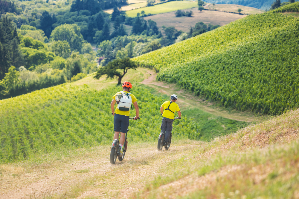Des webinaires pour réussir vos événements pendant « Vignobles en Scène »