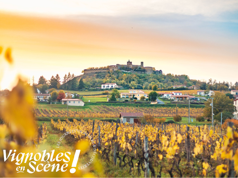 « Vignobles en Scène » dans la Loire mis à l’honneur dans deux médias locaux