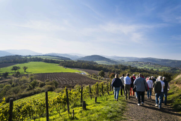 F-Route_des_vins-Vignobles_en_scène©ADT42-Sarah_Gontard_(45)