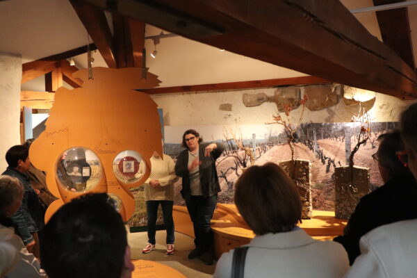 ©Sophie_Aussel-Loire_Tourisme_(6)