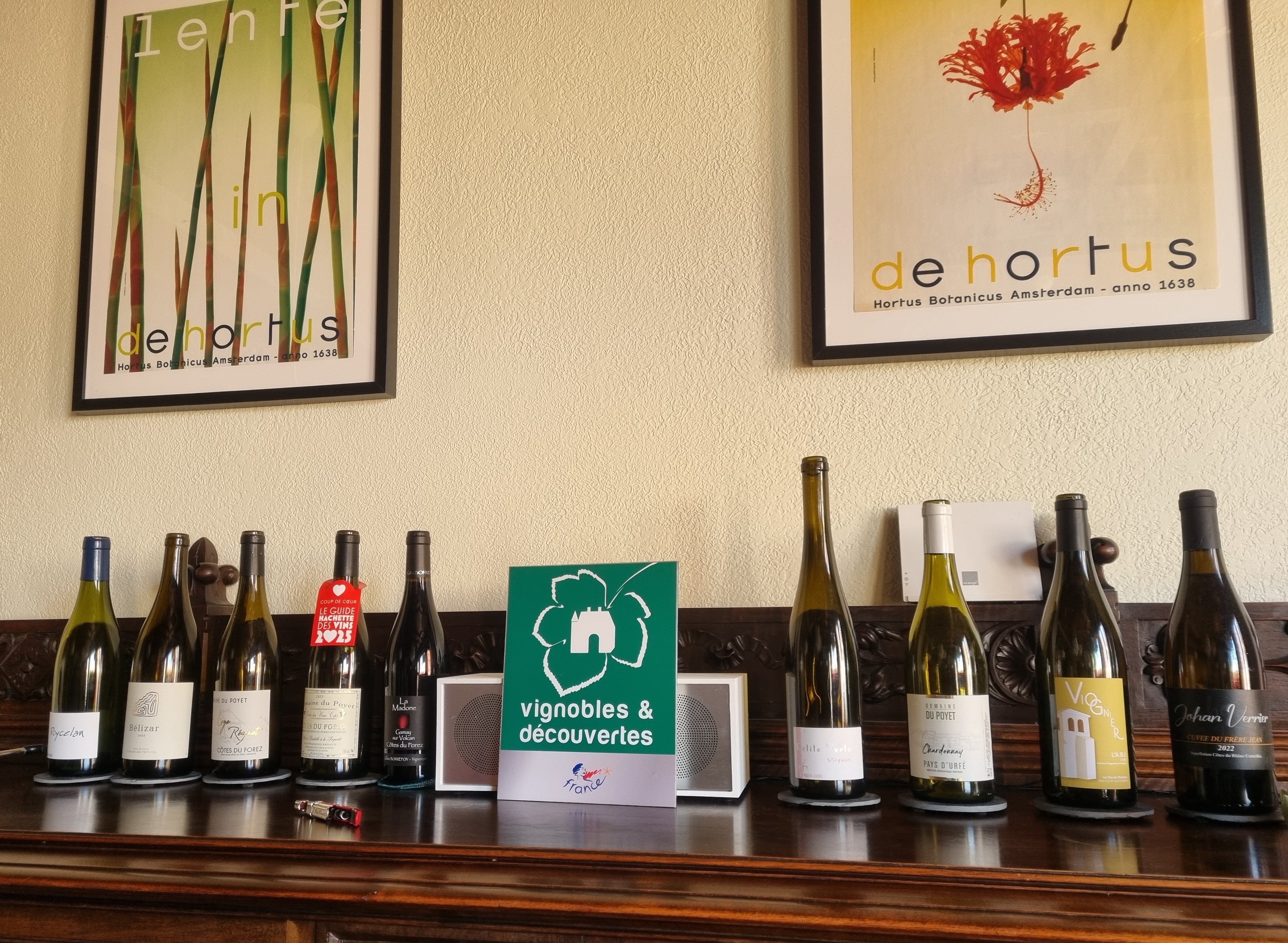 Paroles de pro : l’expérience Vignobles & Découvertes