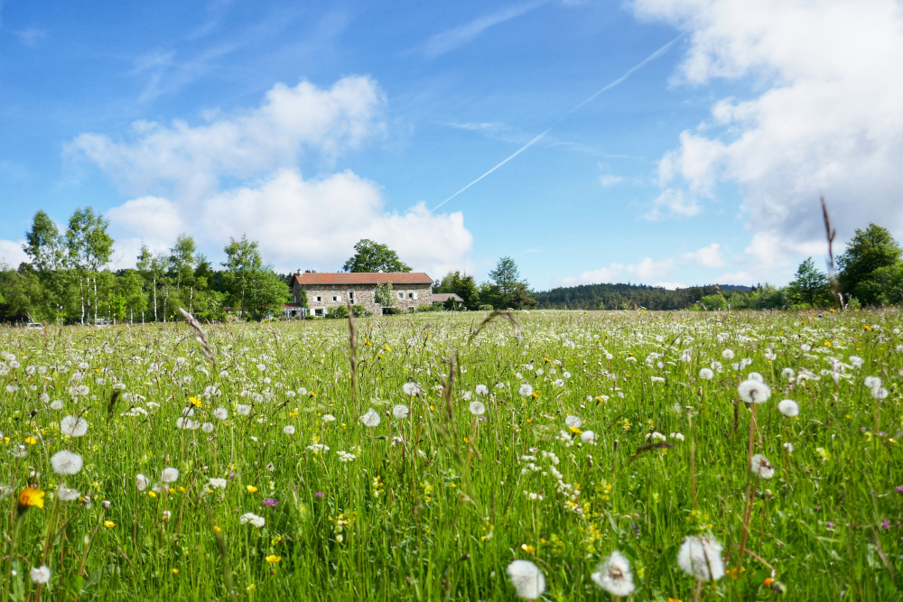 Nattitude : une marque et un réseau au service des hébergeurs ligériens
