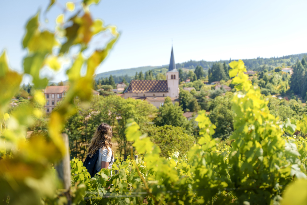 Une belle visibilité pour la Route des Vins Forez-Roannais